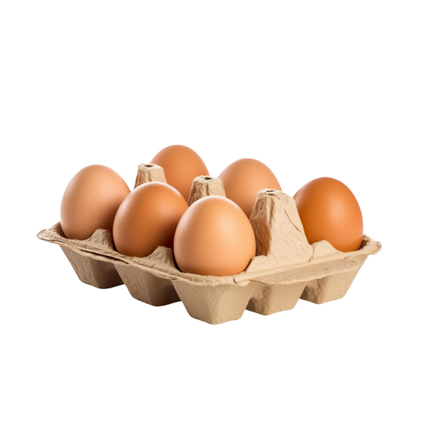 Eggs 6 Pack